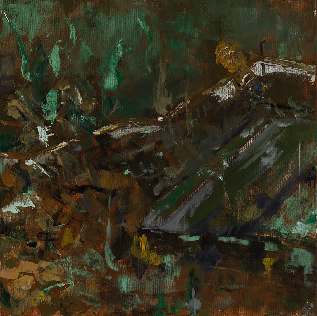 Oliwia Tomczak - Natur IV (2024) 