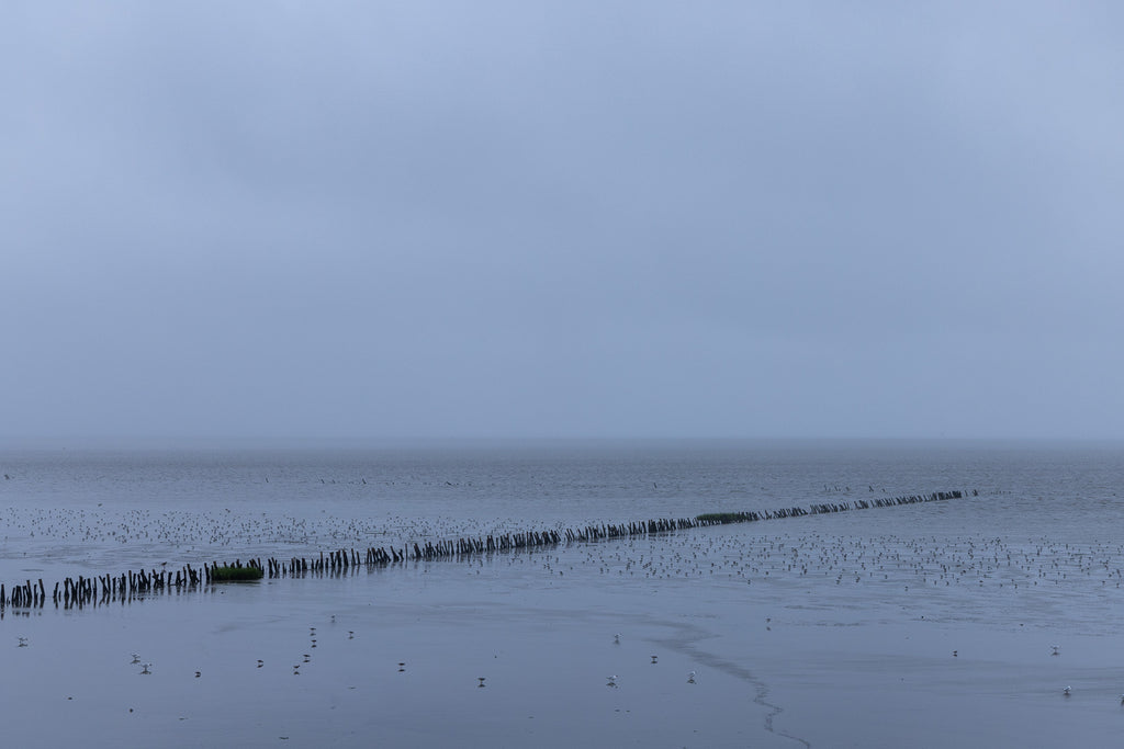 Ziggy Kańczukowski - Wattenmeer (2024) 